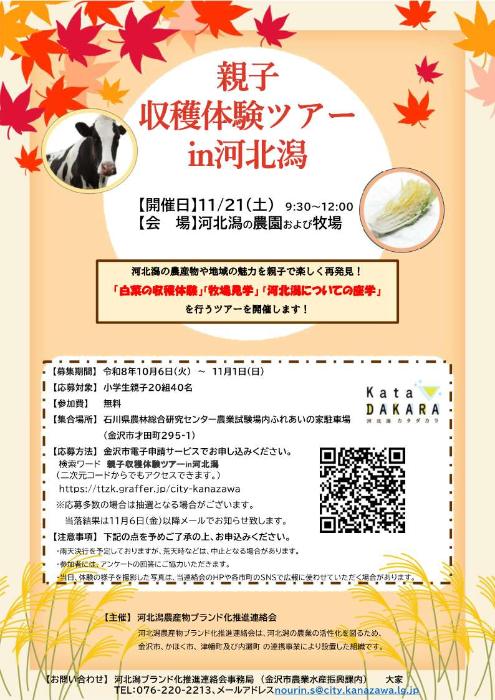 チラシ