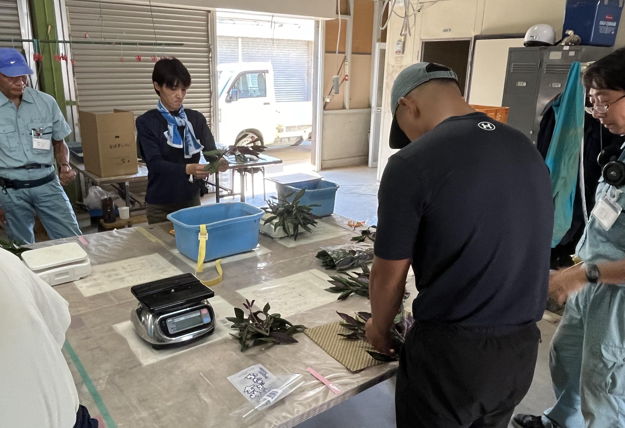 作業体験の写真