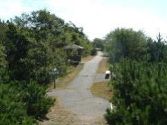 両側は木で囲まれ、中央にアスファルトの道が続いている写真