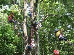 ヘルメットを被った子供たちが木から吊り下げれられた紐につかまっている写真