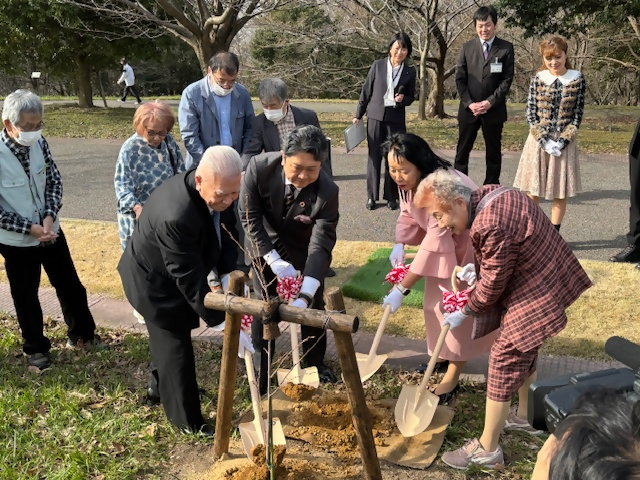 大乗寺丘陵公園でシドモア桜の植樹
