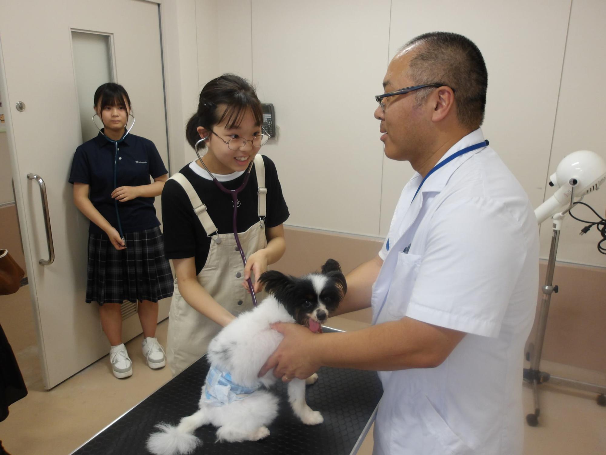 食肉衛生検査所オープンラボ