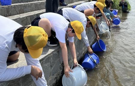 稚鮎の放流