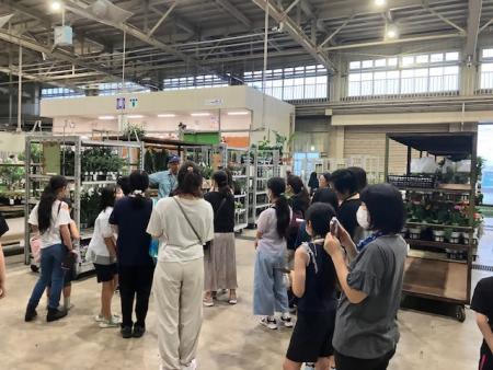 公設花き市場で夏休み親子体験教室を開催しました