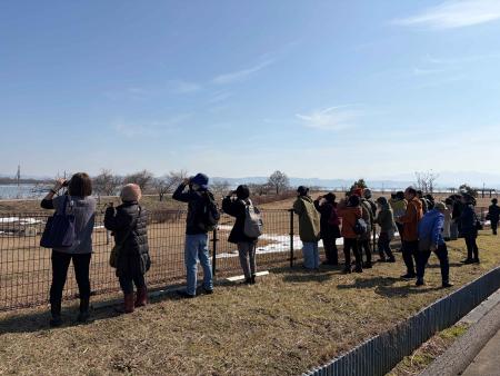 冬のエコツーリズム「白鳥ウォッチングバスツアー」