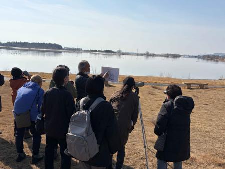 冬のエコツーリズム「白鳥ウォッチングバスツアー」