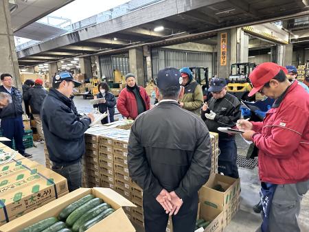 加賀野菜「加賀太きゅうり」初せり