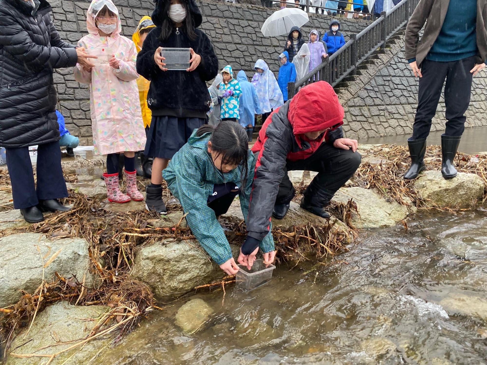 ヤマメの放流式