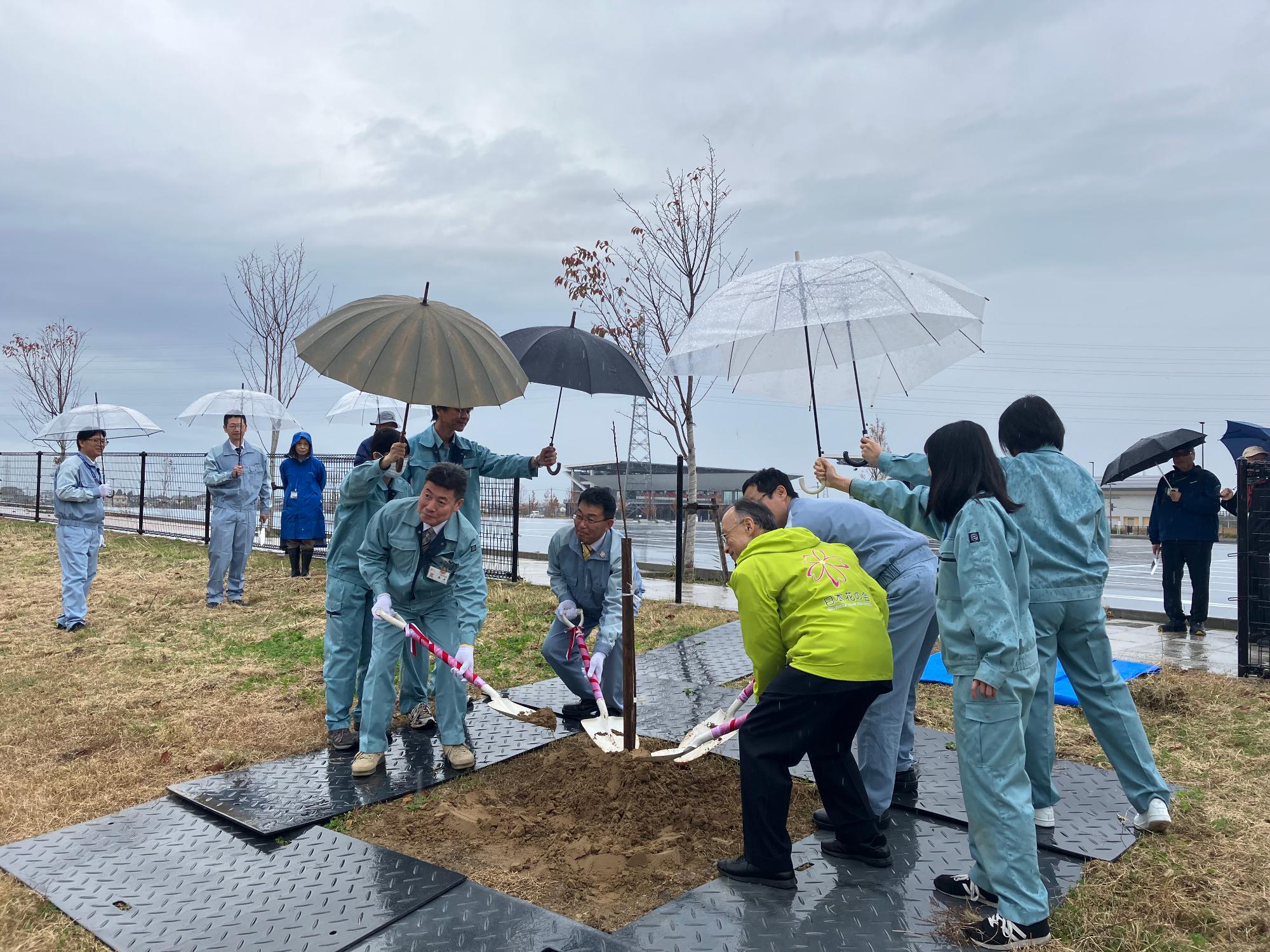 桜記念植樹式