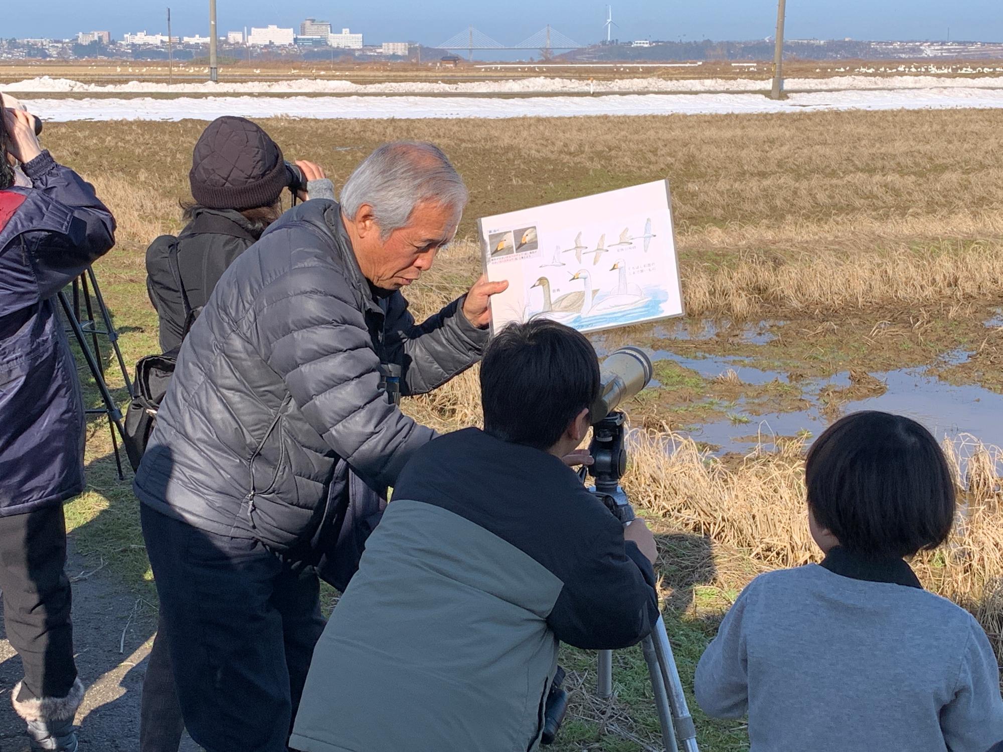 冬のエコツーリズム「白鳥ウォッチングバスツアー」
