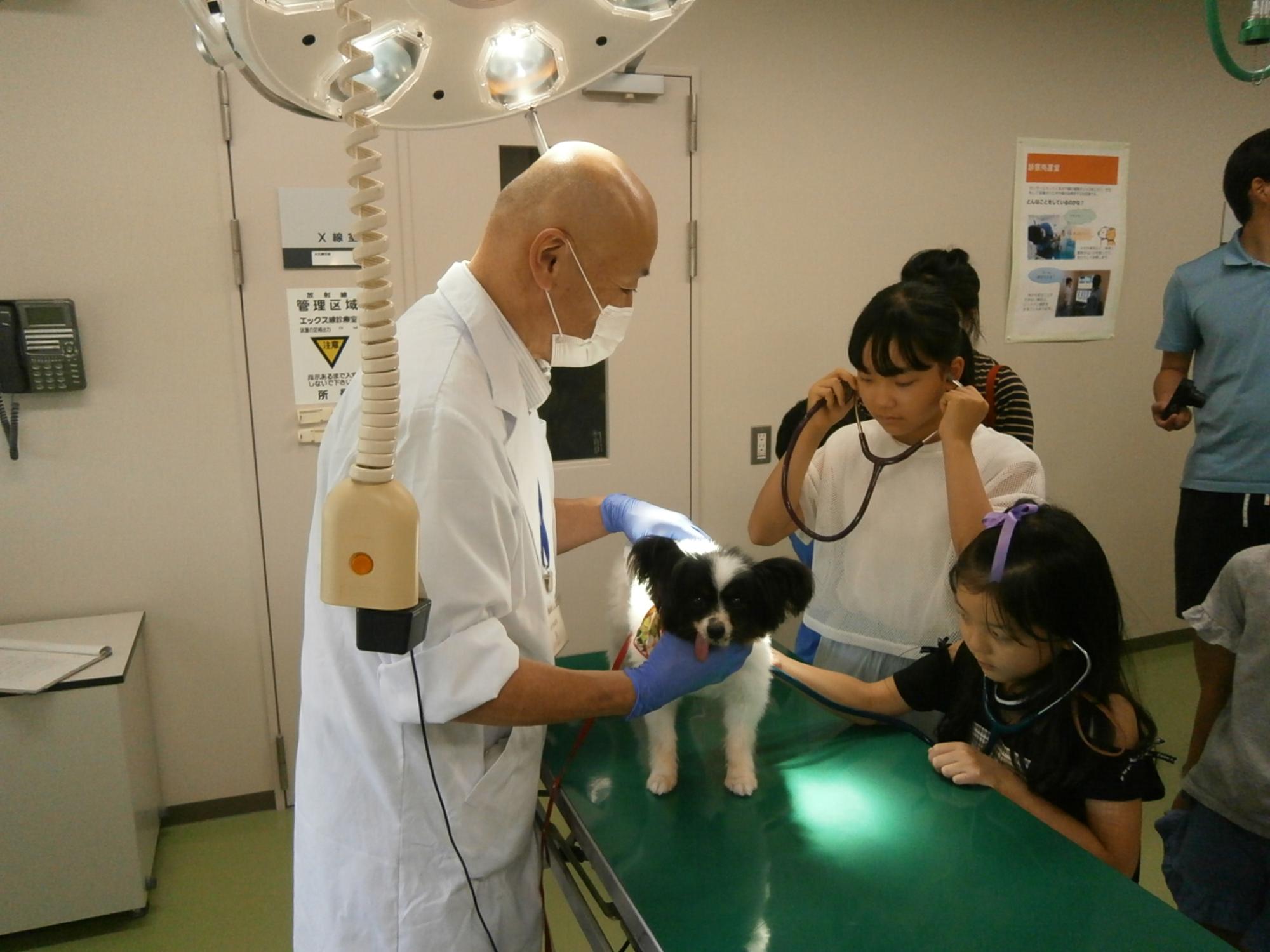 動物愛護管理センター親子施設見学会