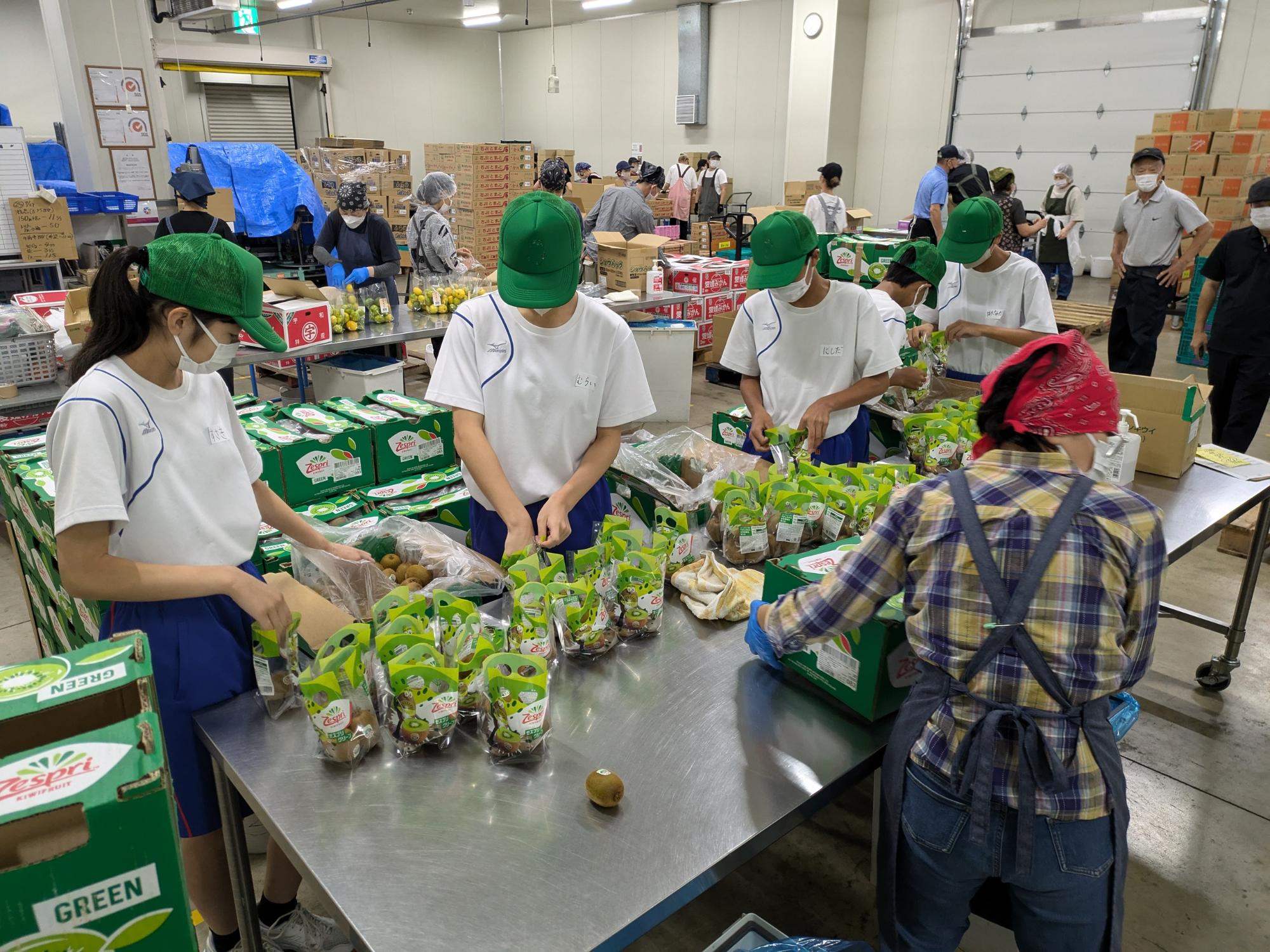 金沢市中央卸売市場 中学2年生の職場体験