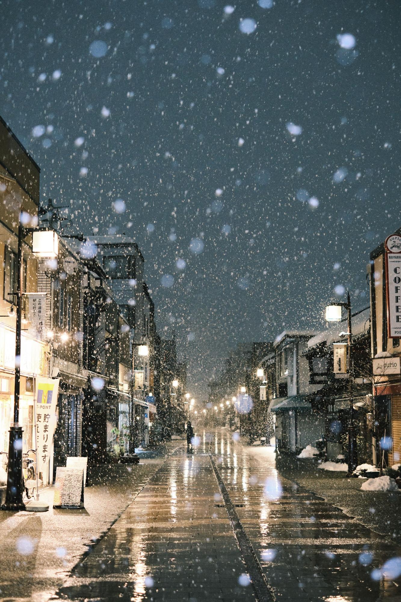 野田 真友子「灯りの道」