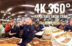 競りの現場に360°カメラが入った、4K 360° KANAZAWA SNOW CRABの一場面の写真
