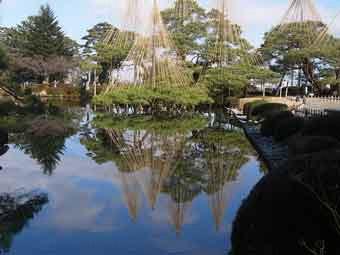霞ヶ池の奥の松の木に施された雪吊りが水面に写っている写真
