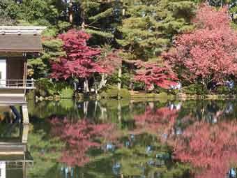 池の縁の木々が紅色に染まり、霞ヶ池の水面に反射している写真