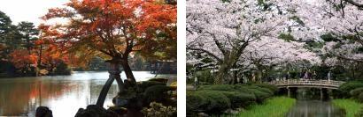 池の周囲の木々が紅く色づいている秋の季節と、橋の周囲の桜の花が満開の春の季節の兼六園の写真