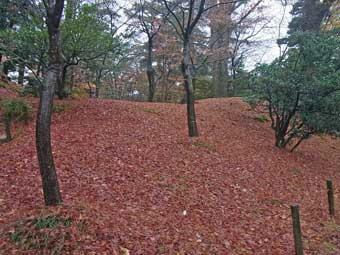 園内の傾斜地に落ちた沢山の落ち葉が、赤い絨毯のように見える写真