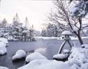 池の周囲の石灯篭や樹木に雪が積もり、雪化粧した兼六園の写真