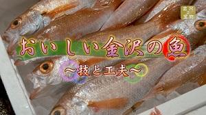 おいしい金沢の魚～技と工夫～の文字と、氷が入った容器に沢山の釣った魚が並んでいる映像の写真