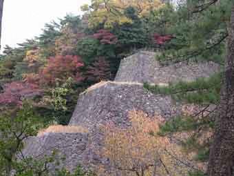 石垣が段になって積み上げられた辰巳櫓台の奥の木が紅く色づいている写真