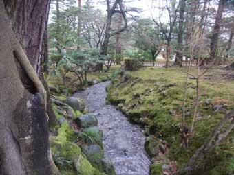園内の樹木や苔芝が生えている間に、細い水路が流れている常磐ヶ岡の写真
