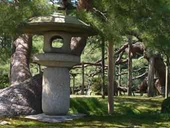 園内の大きな松の木が生えている右側に月見灯籠が設置されている写真