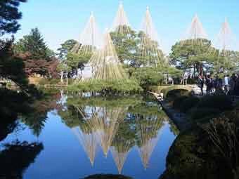 松の木の間に設置された雪吊りが、手前の池に反射した写真