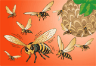 ハチの巣とススメバチのイラスト