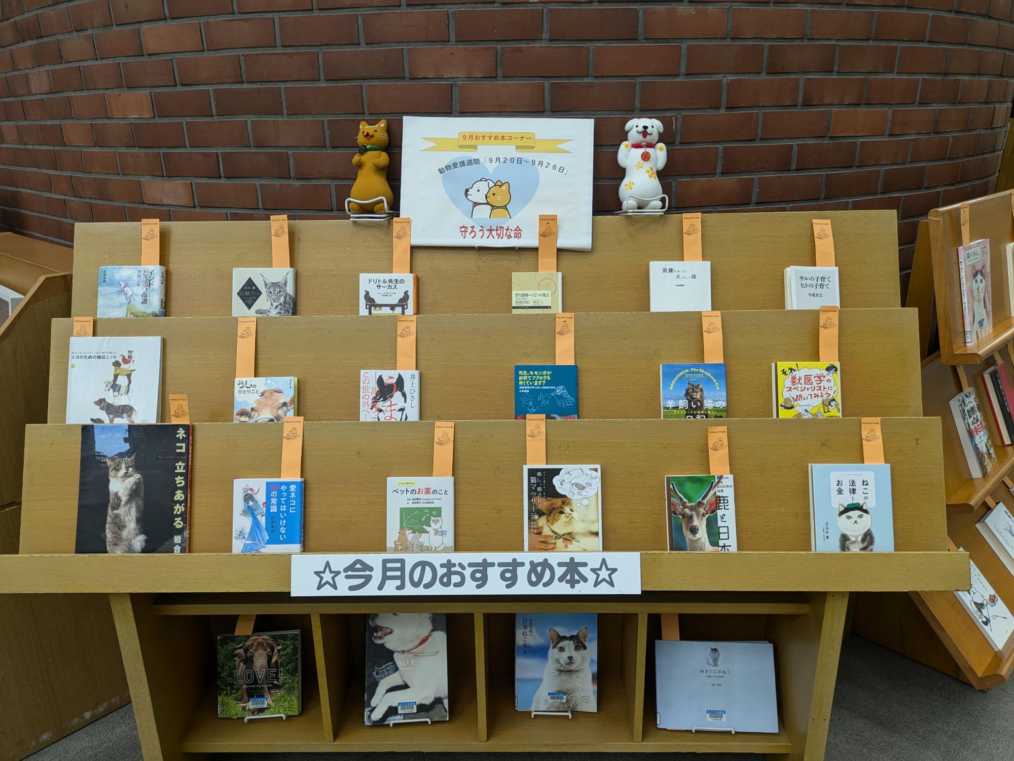 図書館で動物に関する図書が並んでいる写真