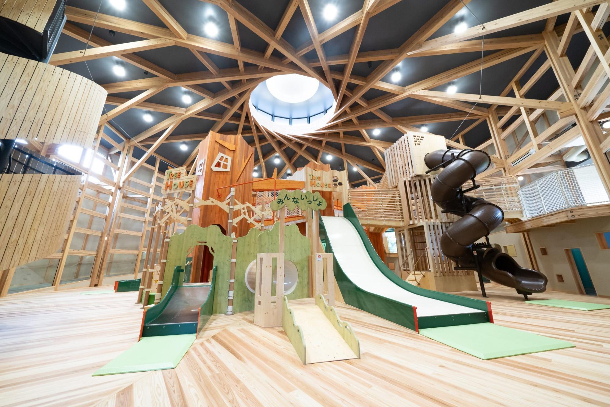 もりのひみつきち