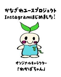 わかばちゃん