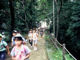 林の中の歩道を歩いている子供たちの写真