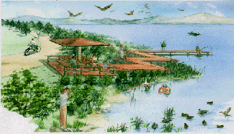 水草がはえた湖に東屋があり、周りでは釣りをしたり、サイクリングや水鳥を観察している人のイラスト