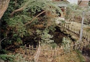 周囲を柵で囲まれ大きな木の枝でおおわれている石浦神社のわき水の写真