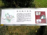 金沢城の自然という文字と説明文、地図、植物や鳥の写真が載っている看板の写真
