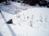 降り積もった雪の表面に無数の動物の足跡がついている写真