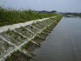 川岸に設置された格子状の植栽ブロックマット写真