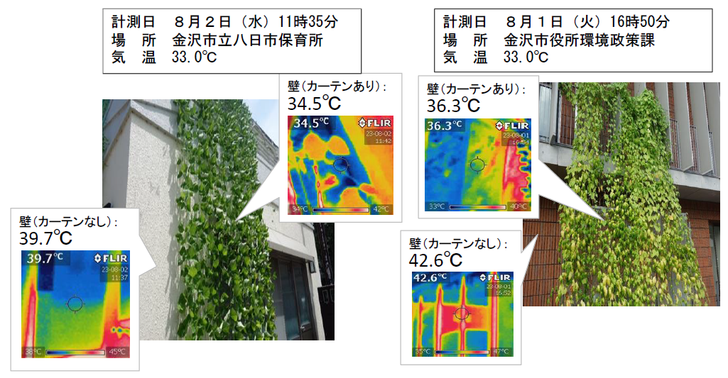 壁(カーテンあり)：34.5℃、壁(カーテンなし)：39.7℃と比較している金沢市立八日市保育所のグリーンカーテンが設置してある外観写真