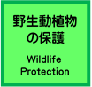 野生動植物の保護