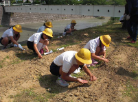 黄色い帽子を被った生徒たちが畑で植物の種植えをしている写真