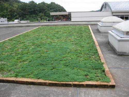 貯水槽などある屋上の一部分を芝生を植え壇を設置してある写真