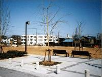 手前の舗装された地面の一部に木が植えられ、奥には広場が広がっている白菊町広場の写真