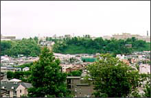 城東地域の木々の間に沢山の民家が見える様子の風景写真