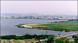 川沿いの沿道と橋を撮影した風景写真