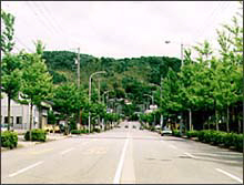 片側二車線の両端に街路樹があり、奥にも山が見える風景の写真
