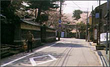 桜の咲いている時期に撮影された堀のある家の近くの道路を歩いている男性の写真