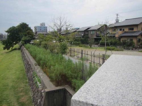 草木が綺麗に整備された桜橋右岸下流河岸緑地の写真