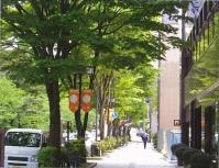 大通り沿いの歩道と車道の間に、大きな樹木や植木が植栽されている写真