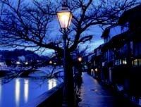 川沿いに立つ樹木の前に設置された街灯の写真